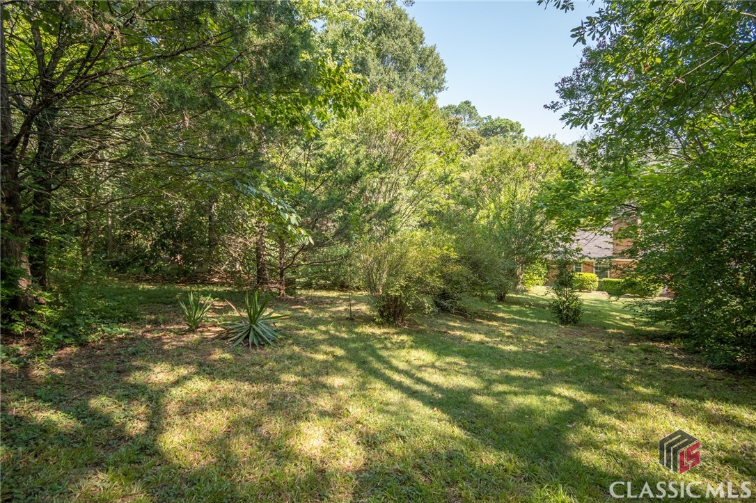 295 Pinewood Circle
