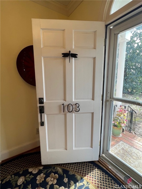 103 Princeton Mill Court