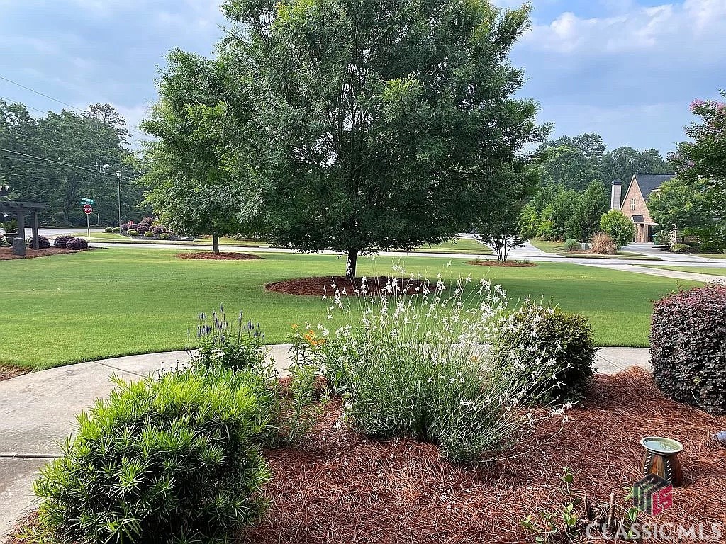 1118 Coneflower Lane