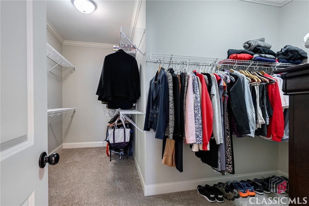 1118 Coneflower Lane