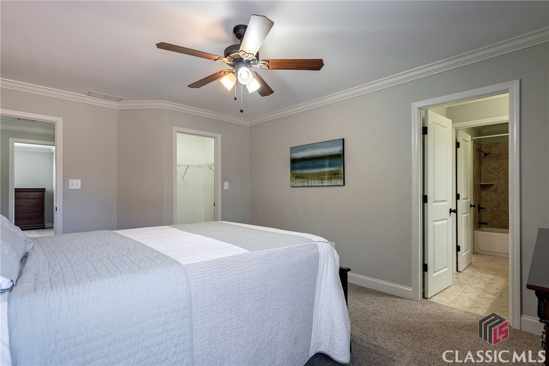 1118 Coneflower Lane