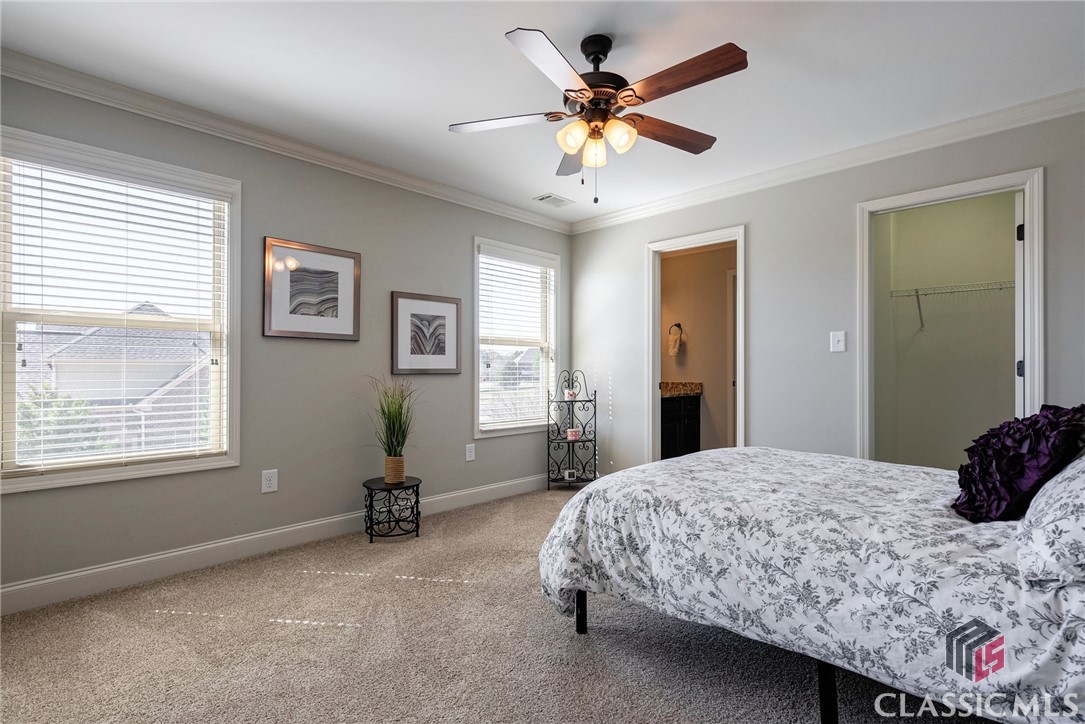 1118 Coneflower Lane