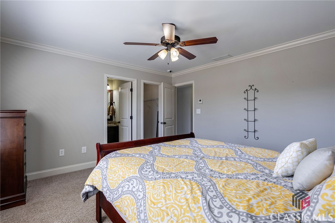 1118 Coneflower Lane