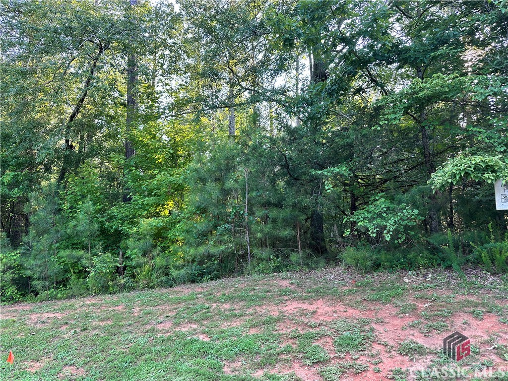 2401 Downs Creek Drive