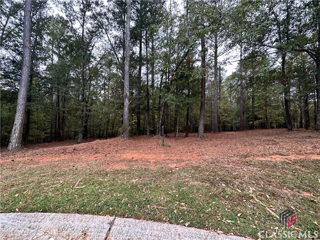 2401 Downs Creek Drive