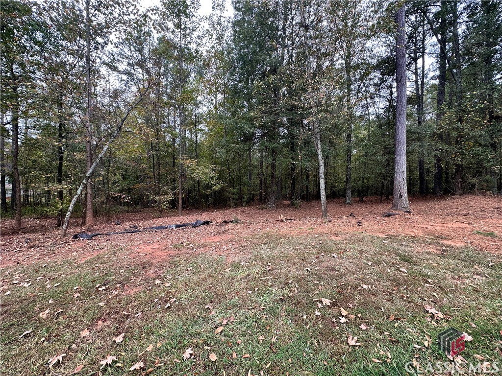 2401 Downs Creek Drive