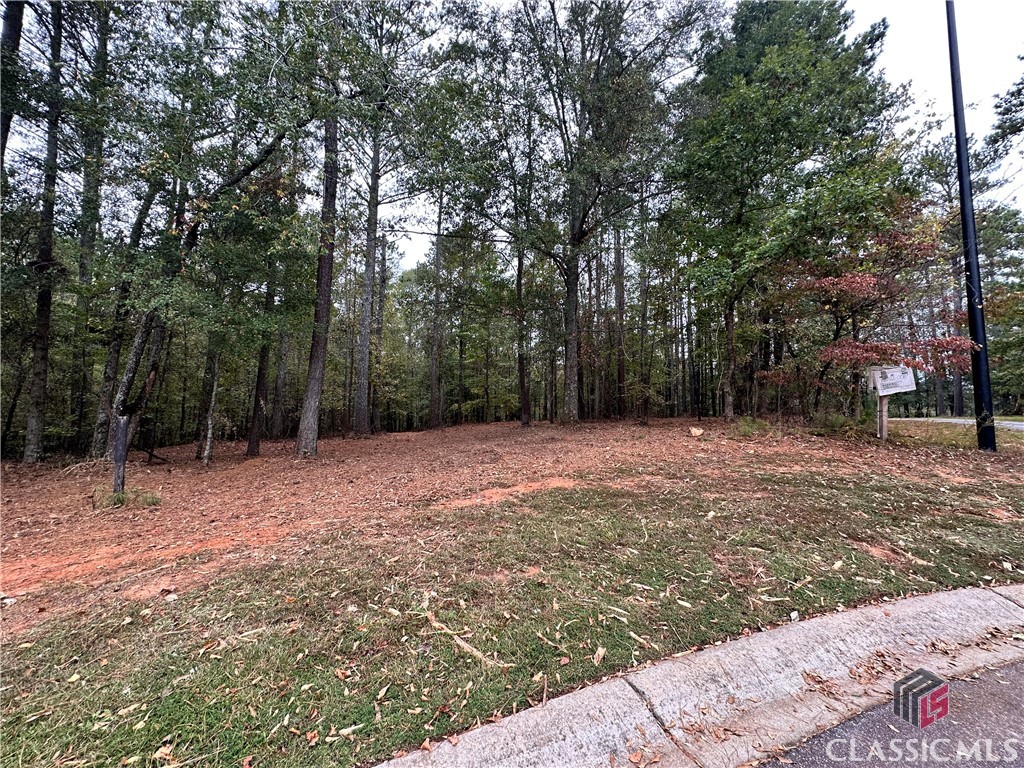 2401 Downs Creek Drive