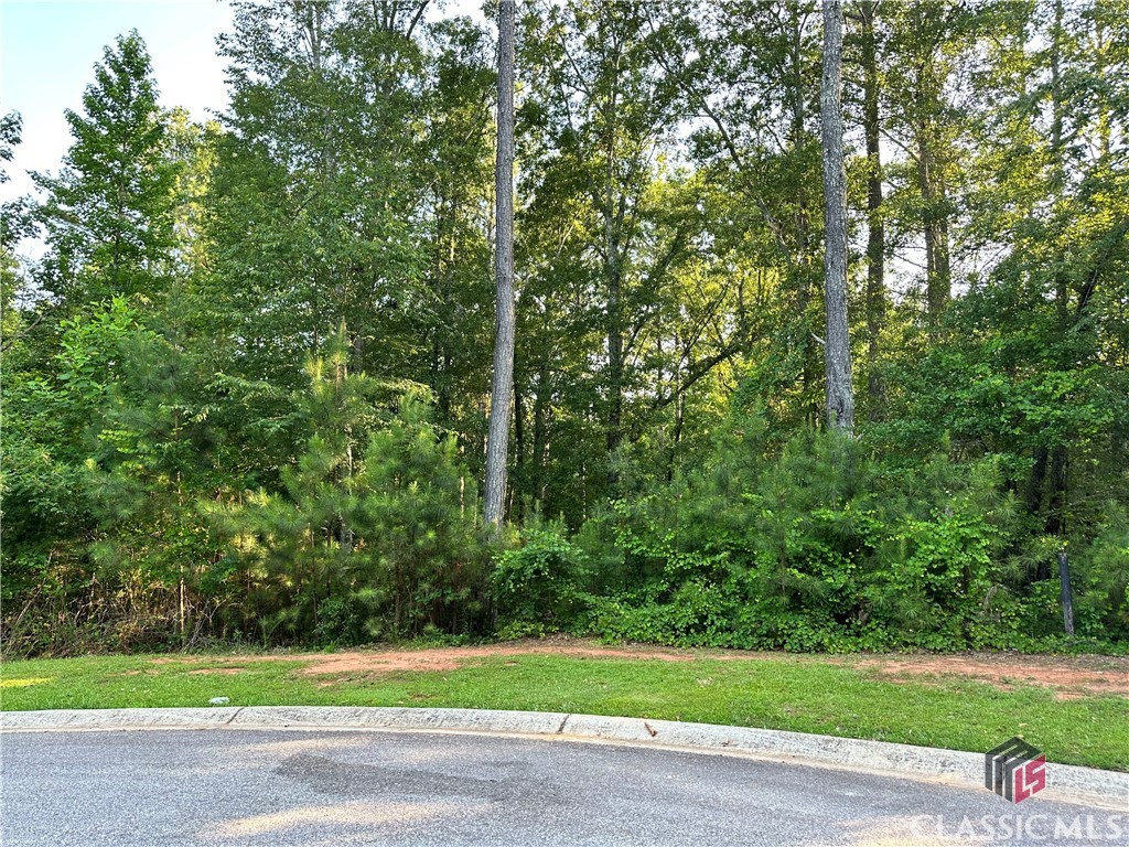 2401 Downs Creek Drive