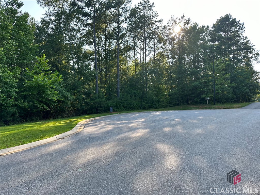 2401 Downs Creek Drive