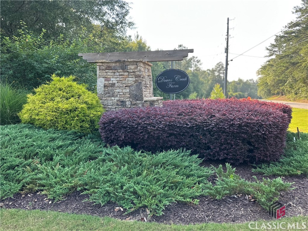 2401 Downs Creek Drive