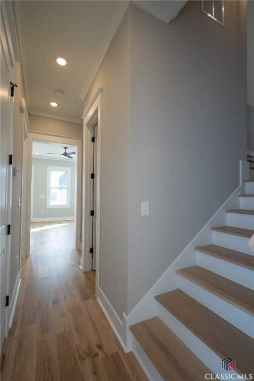 245 Highpointe Lane