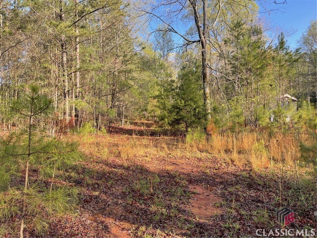 1110 Frazier Copelan Road