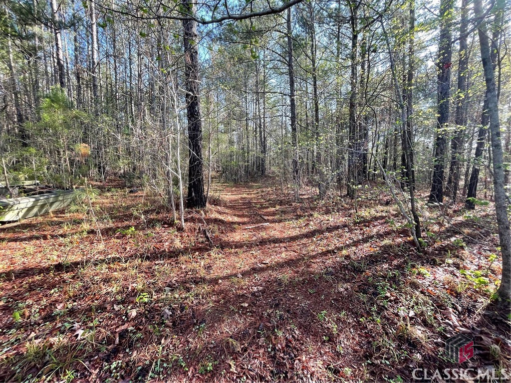 1110 Frazier Copelan Road