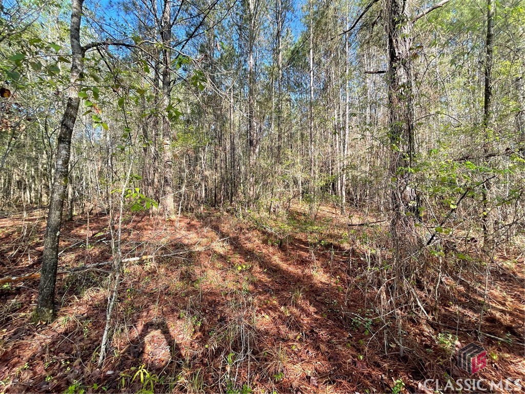 1110 Frazier Copelan Road