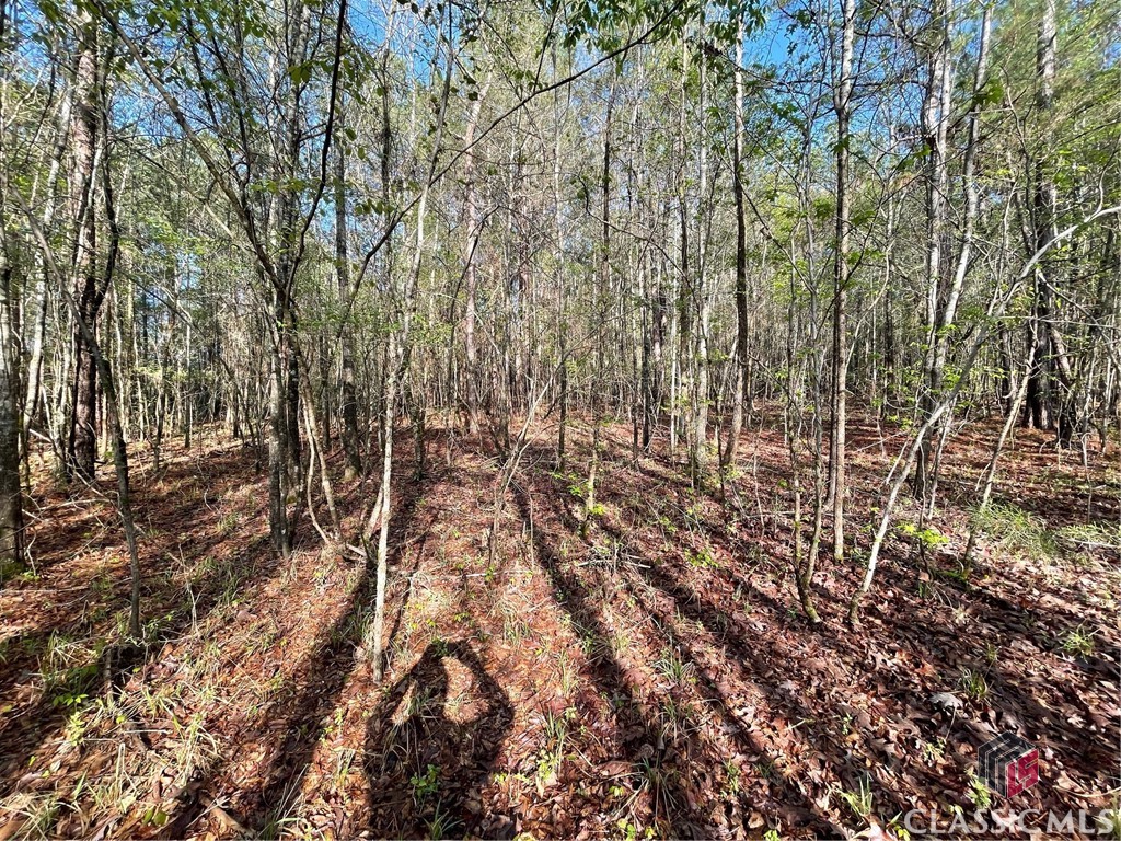 1110 Frazier Copelan Road