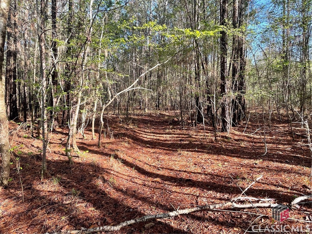 1110 Frazier Copelan Road