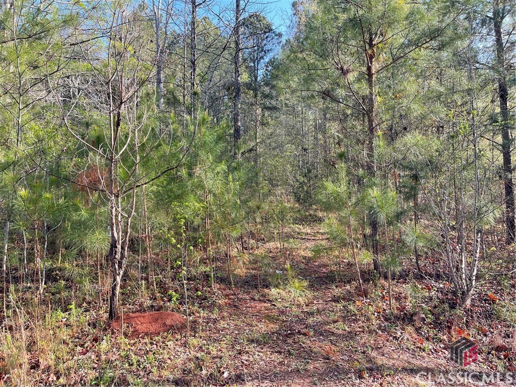 1110 Frazier Copelan Road