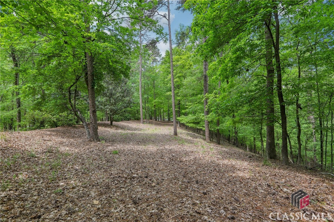 2471 Linger Longer Drive