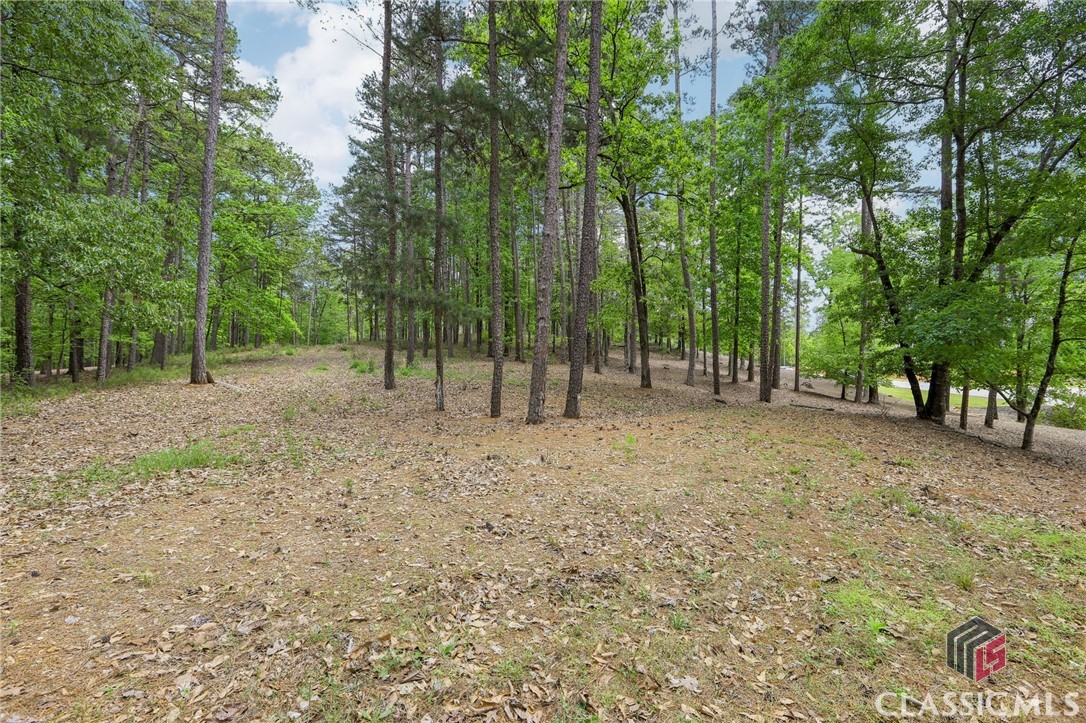 2471 Linger Longer Drive