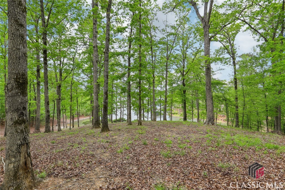 2471 Linger Longer Drive