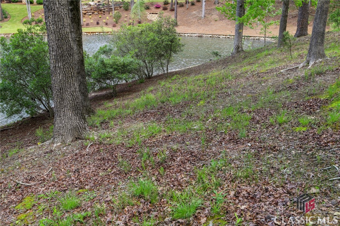 2471 Linger Longer Drive