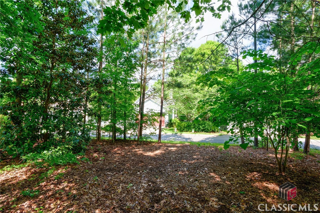 80 Charter Oak Drive