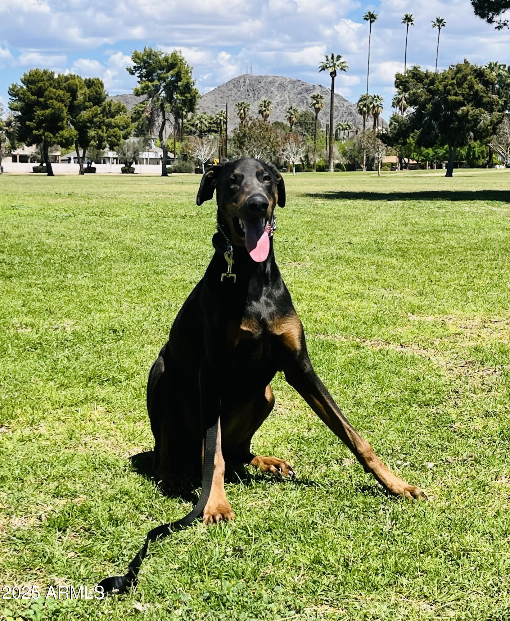 1643 W HARMONT Drive