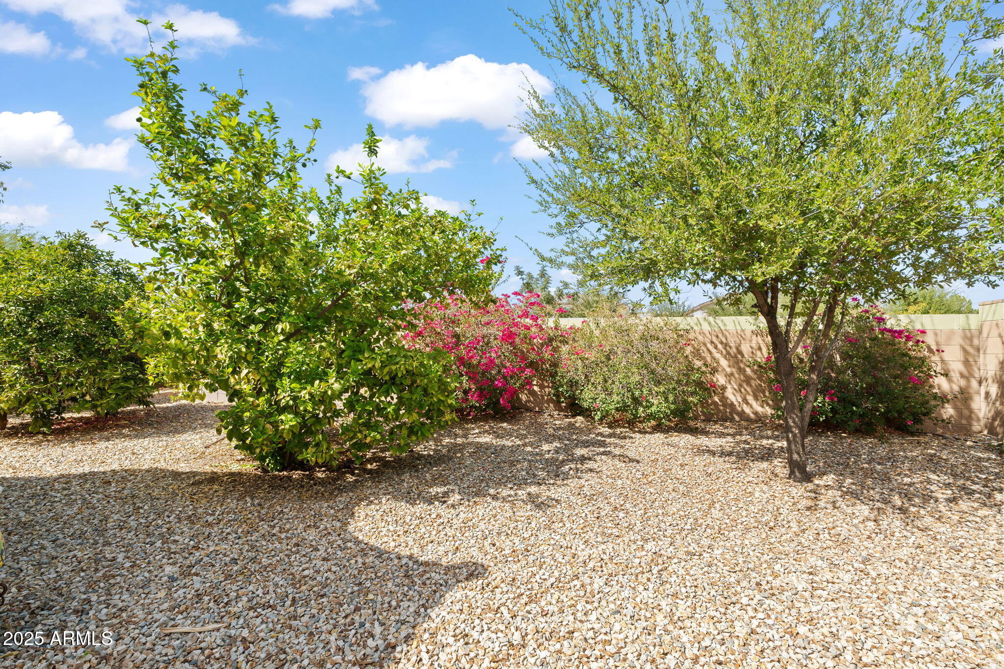 17532 W CARIBBEAN Lane