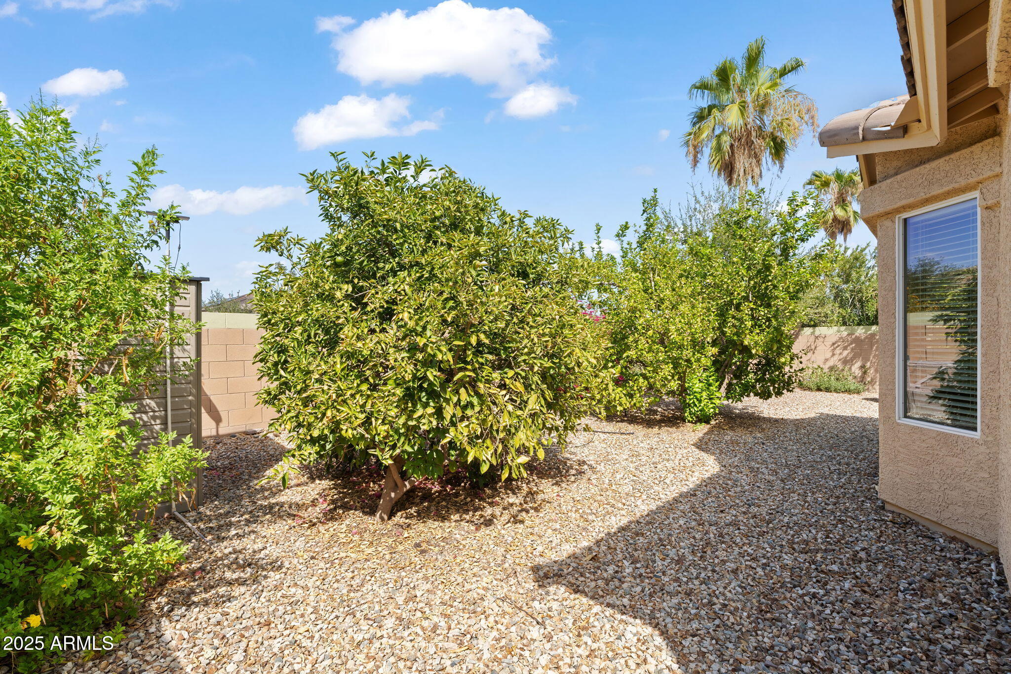 17532 W CARIBBEAN Lane