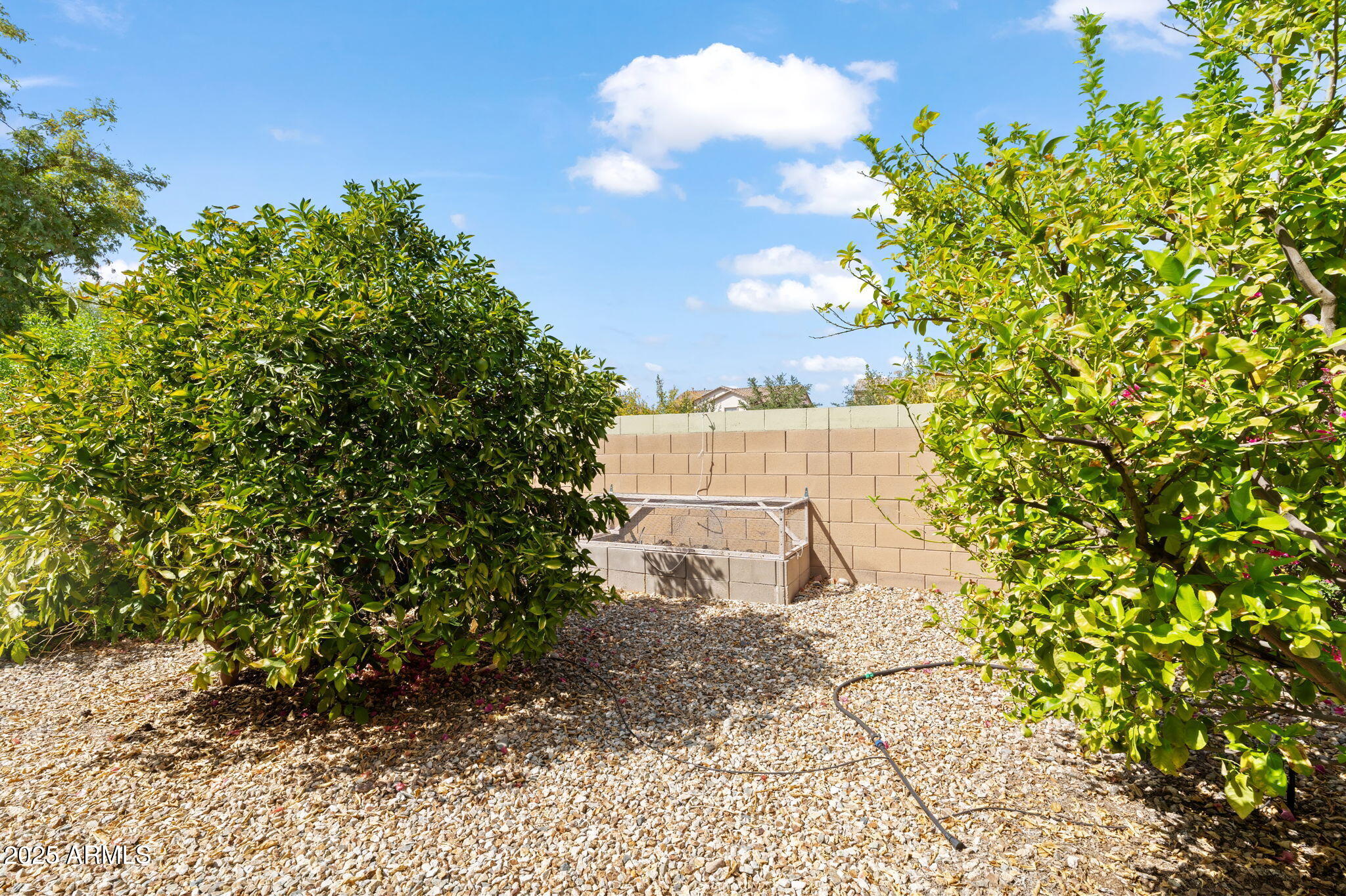 17532 W CARIBBEAN Lane