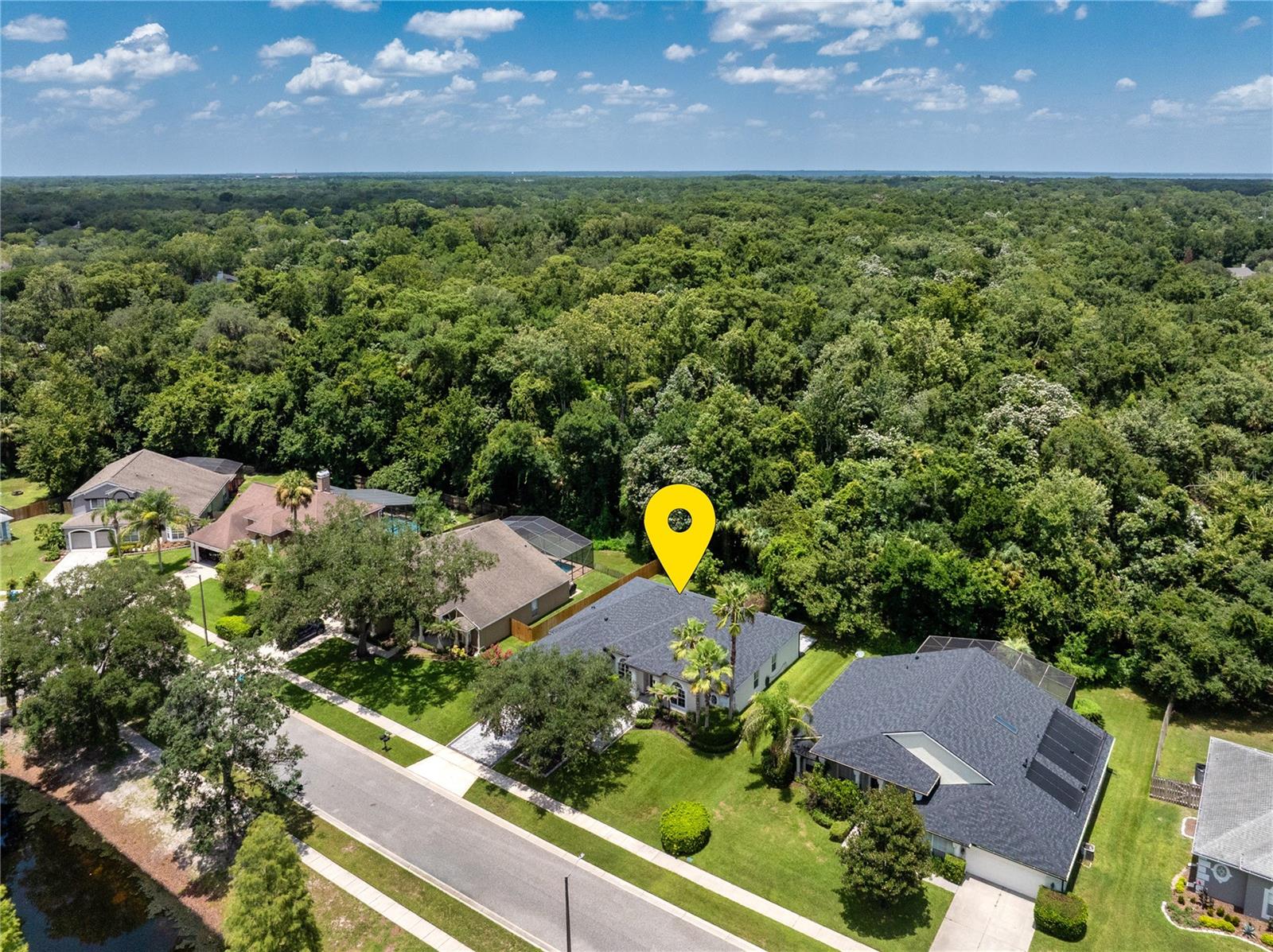 223 BLUE CREEK DR