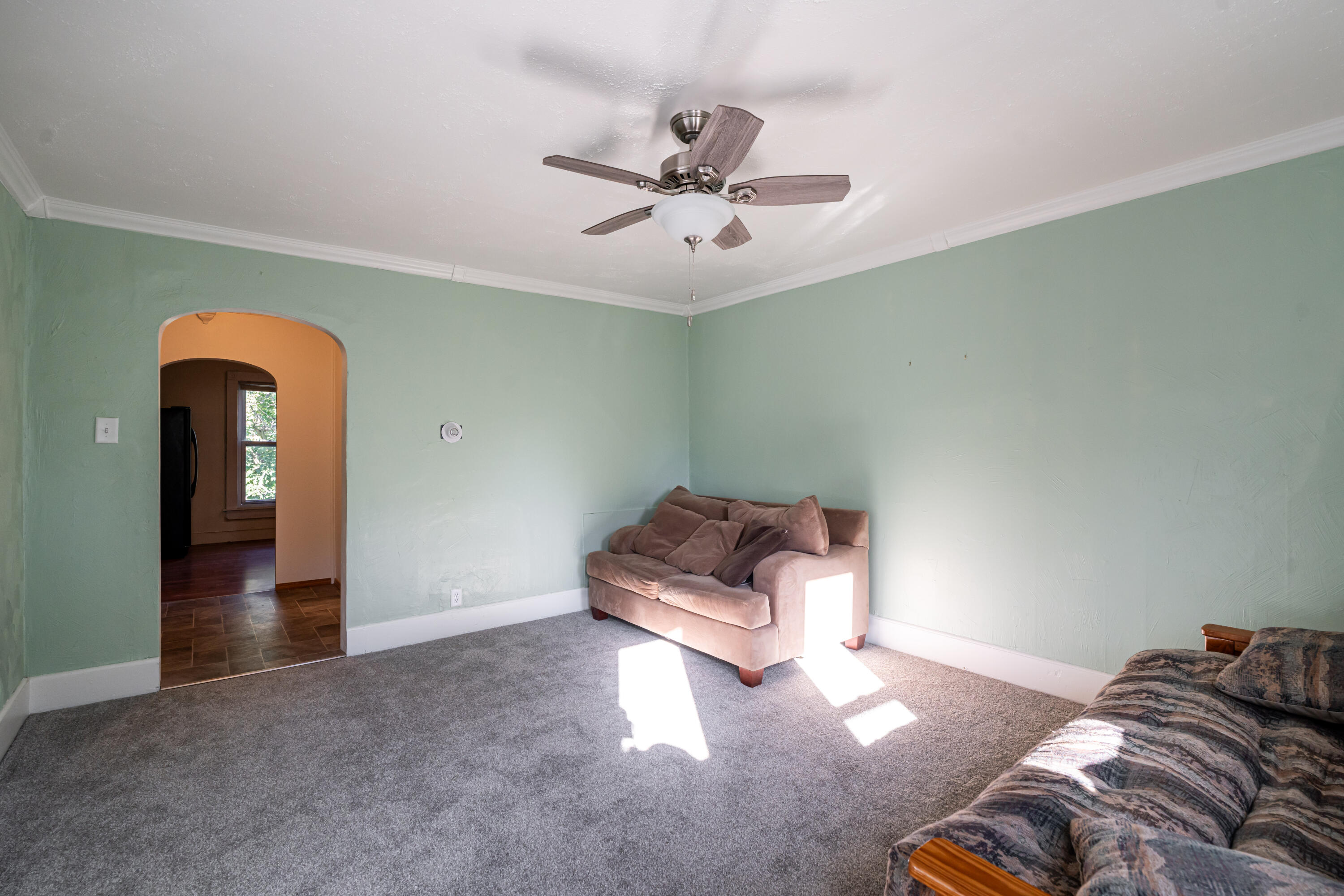 Living room with pale green walls, gray carpet, two sofas, and a ceiling fan.