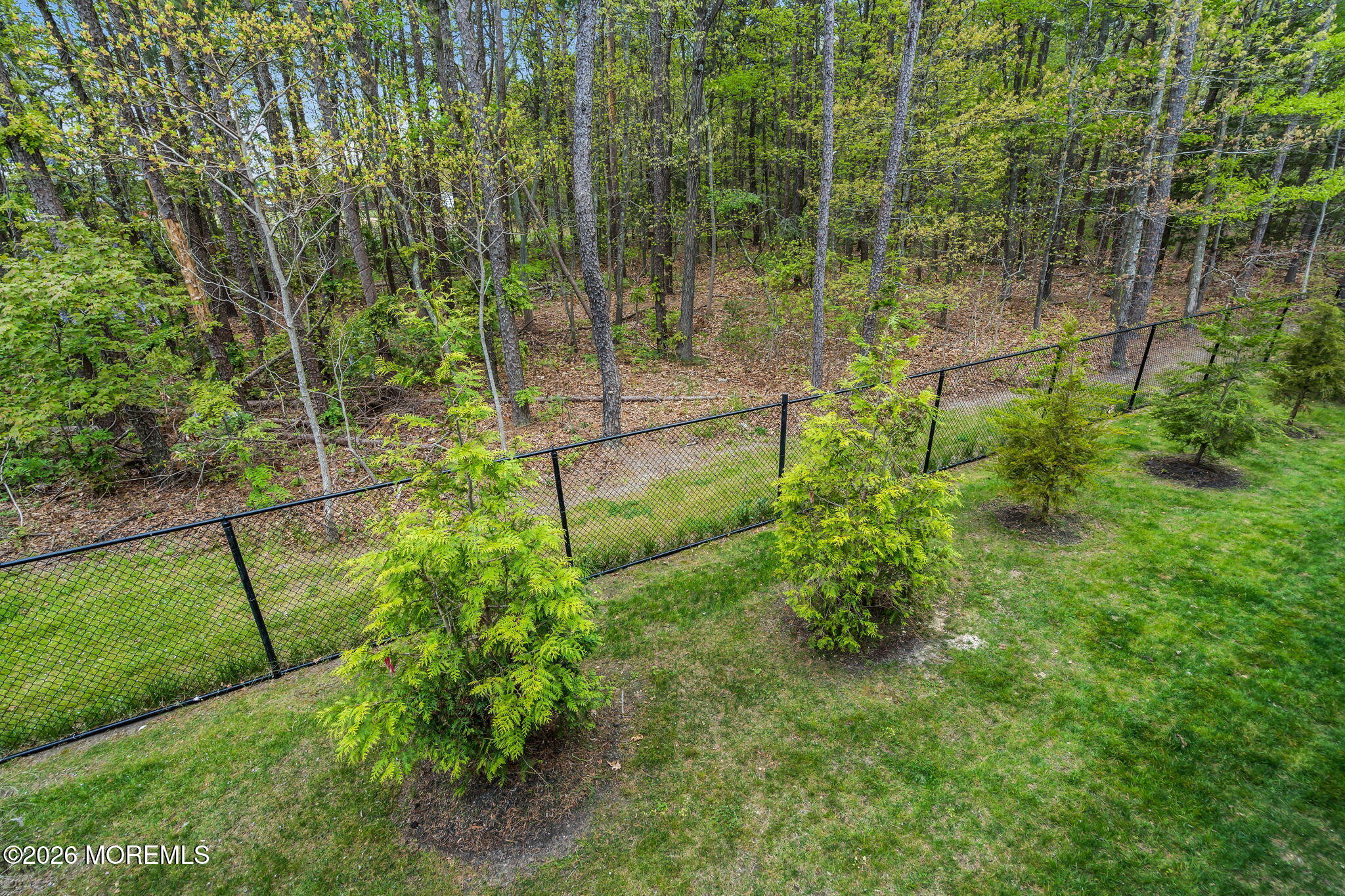 504 Cyprus Court
