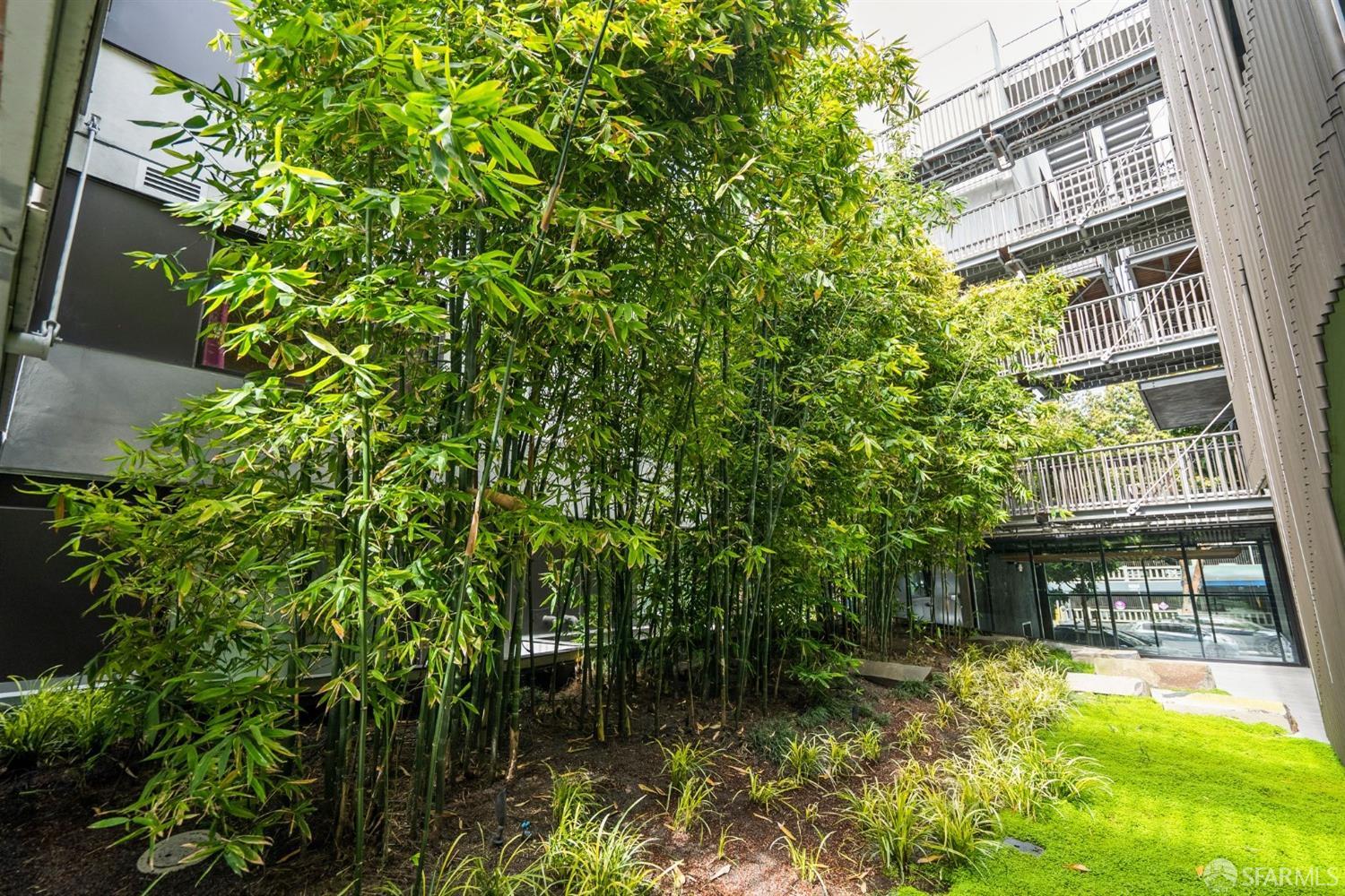 400 Grove Street Unit: 401