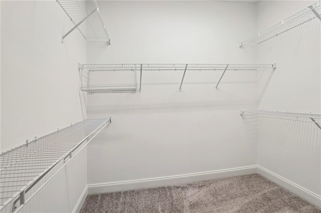 2328 Medlock Lane