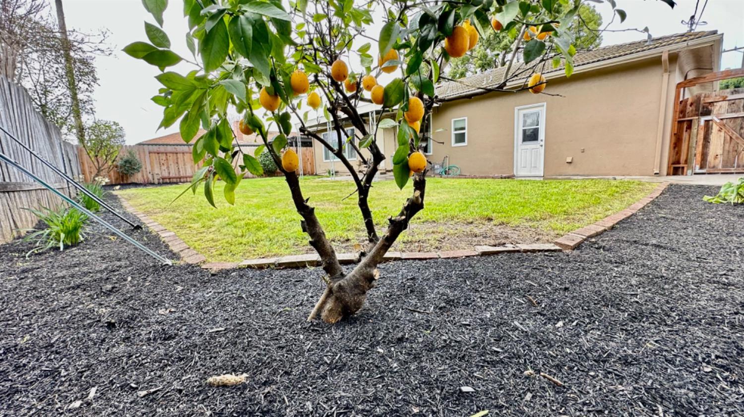 1012 S Orange Avenue