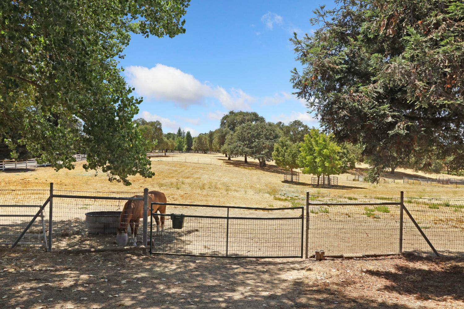 24521 N Mcintire Road