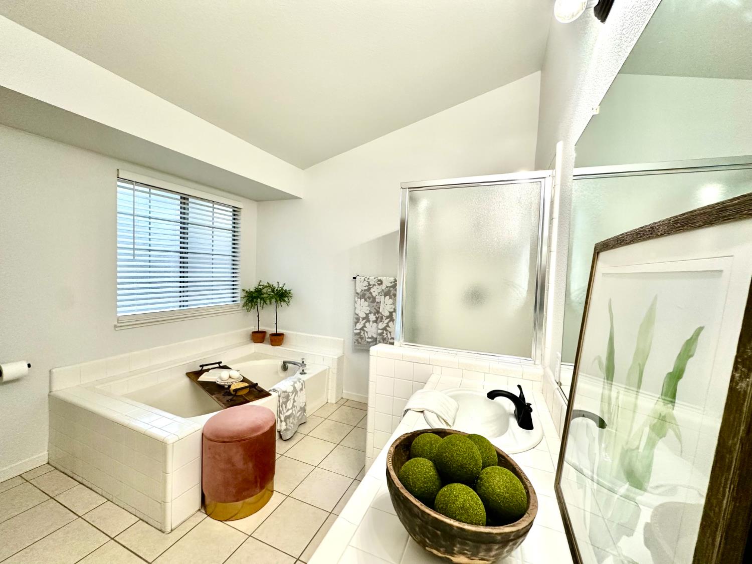 9656 Twin Creeks Avenue