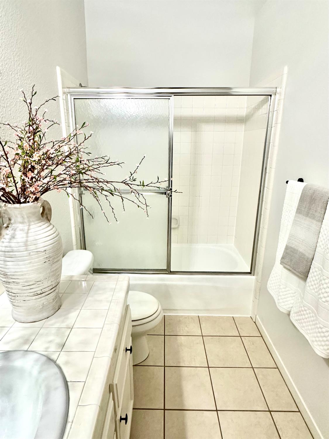 9656 Twin Creeks Avenue