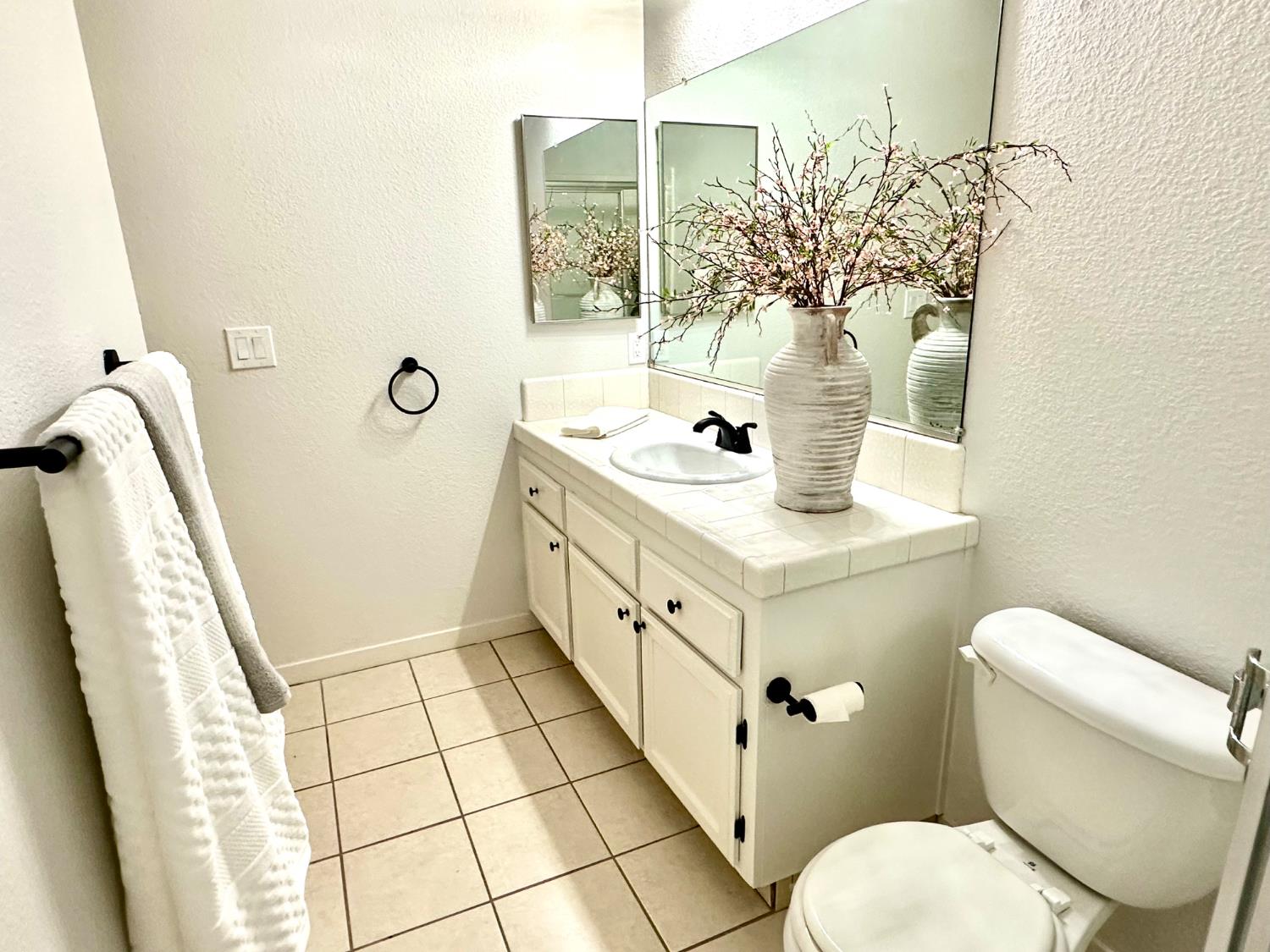 9656 Twin Creeks Avenue