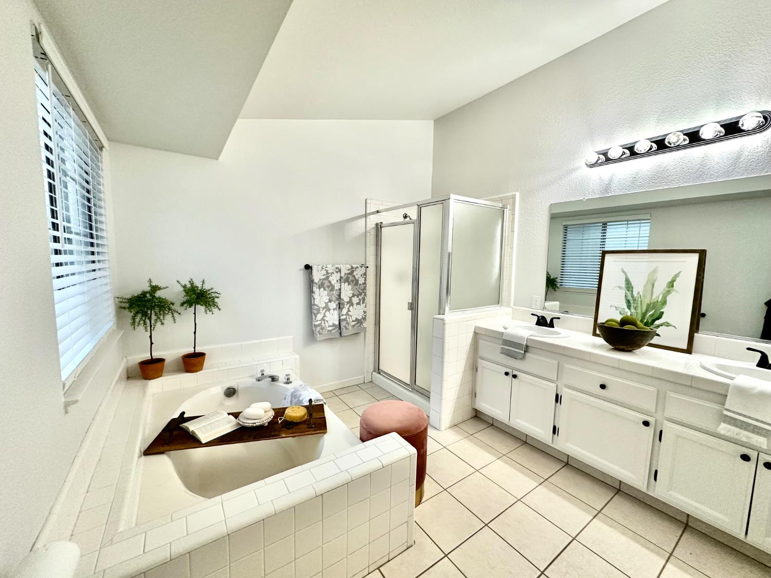 9656 Twin Creeks Avenue