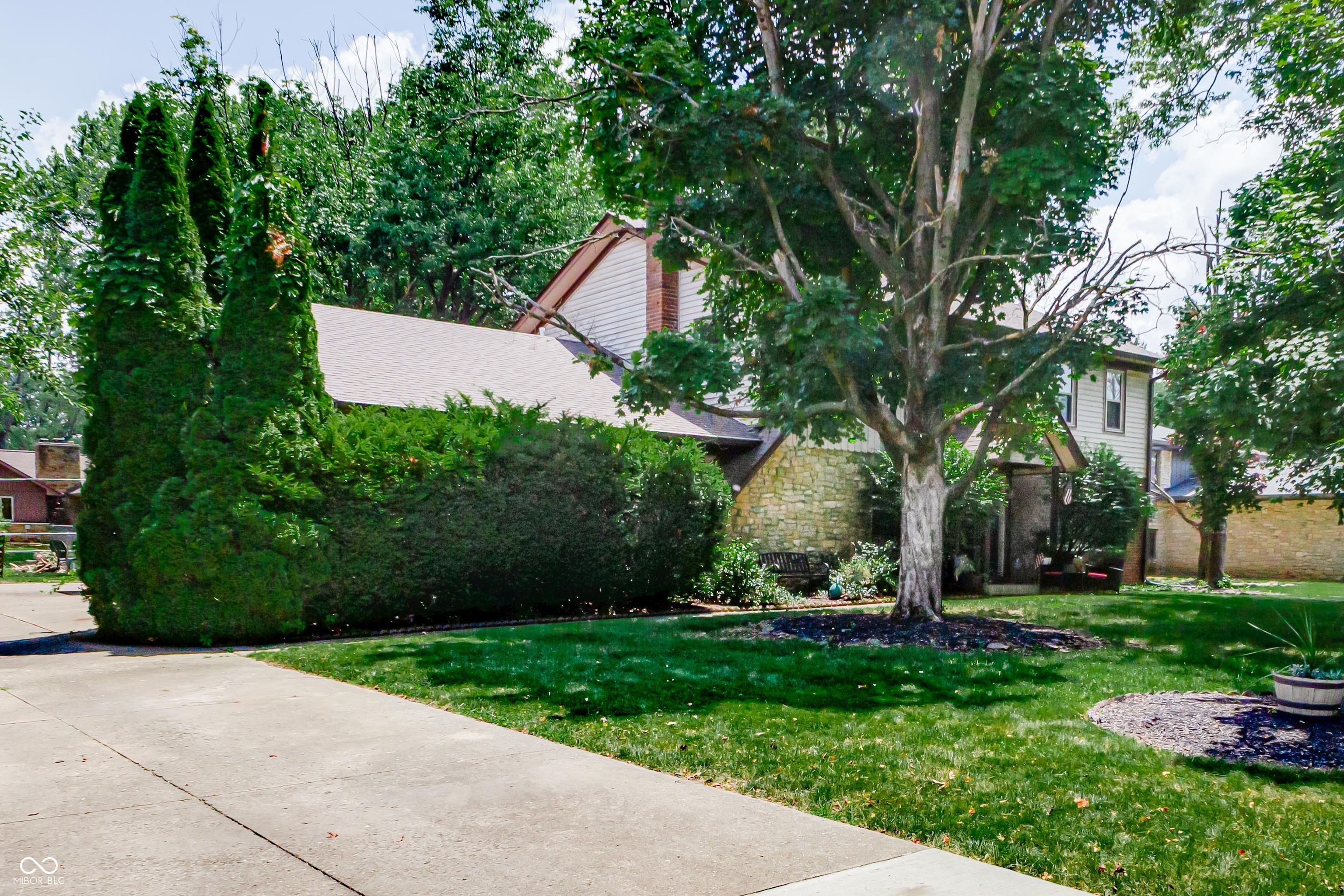919 Dreamy Street