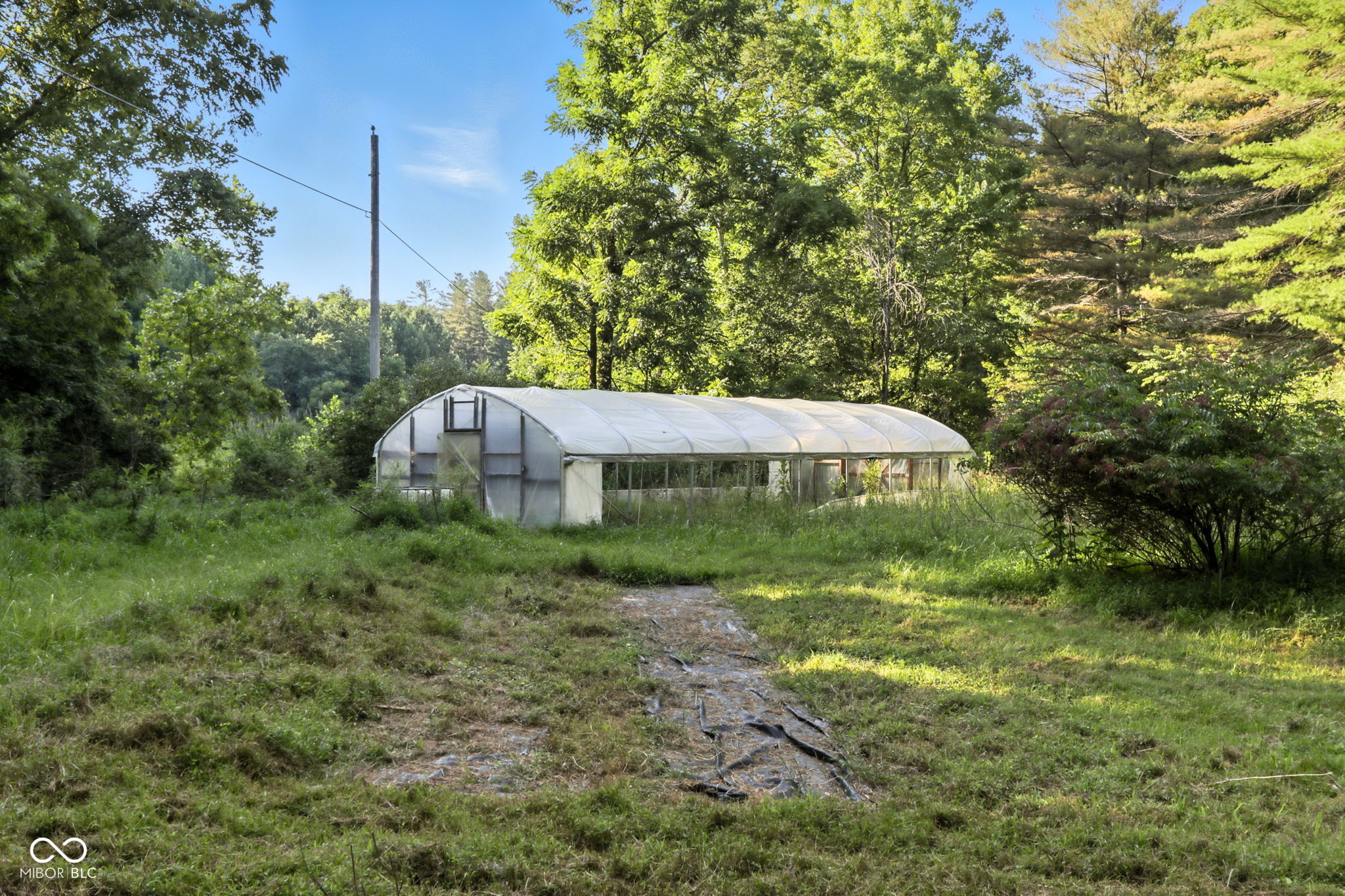 5854 T C Steele Road