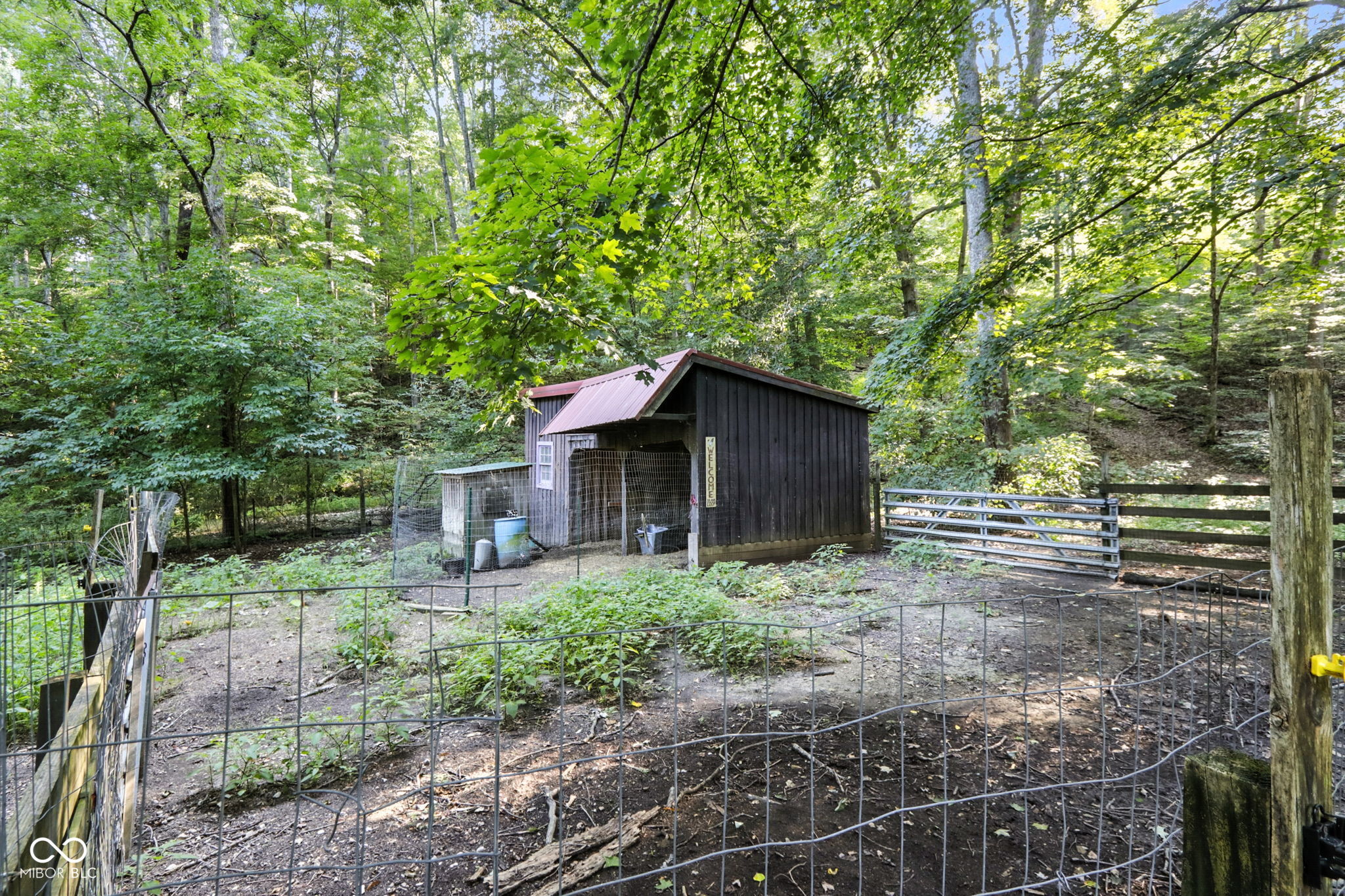 5854 T C Steele Road
