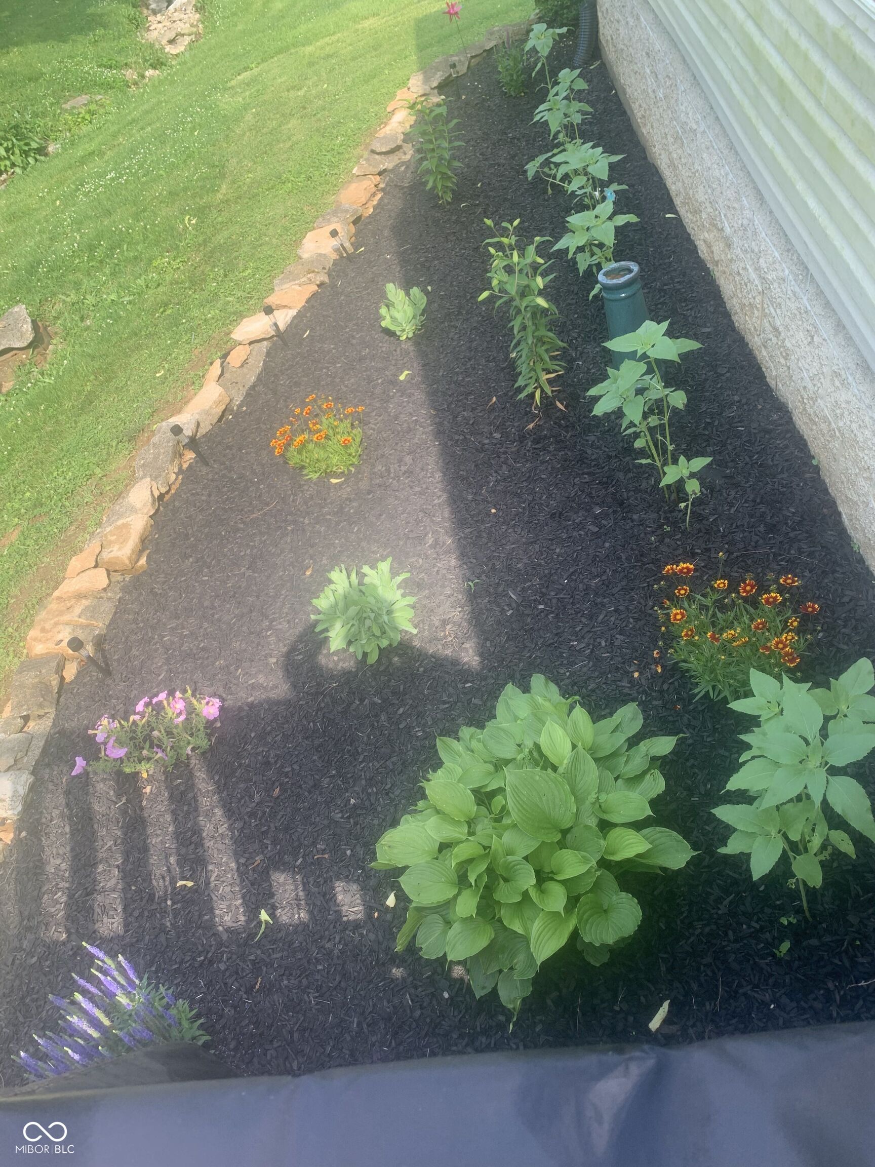 9205 S Harrodsburg Road