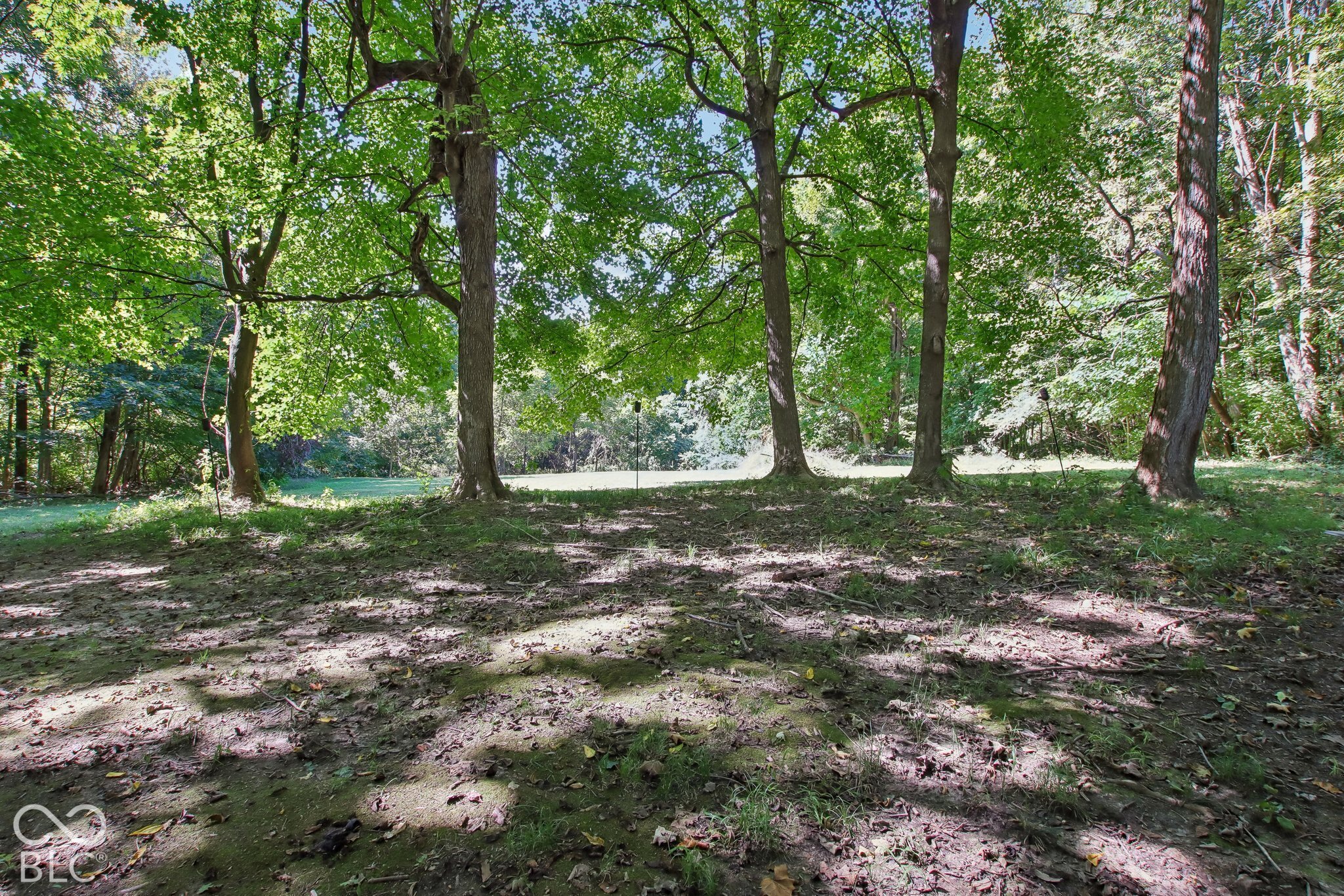 11712 Mann North Road