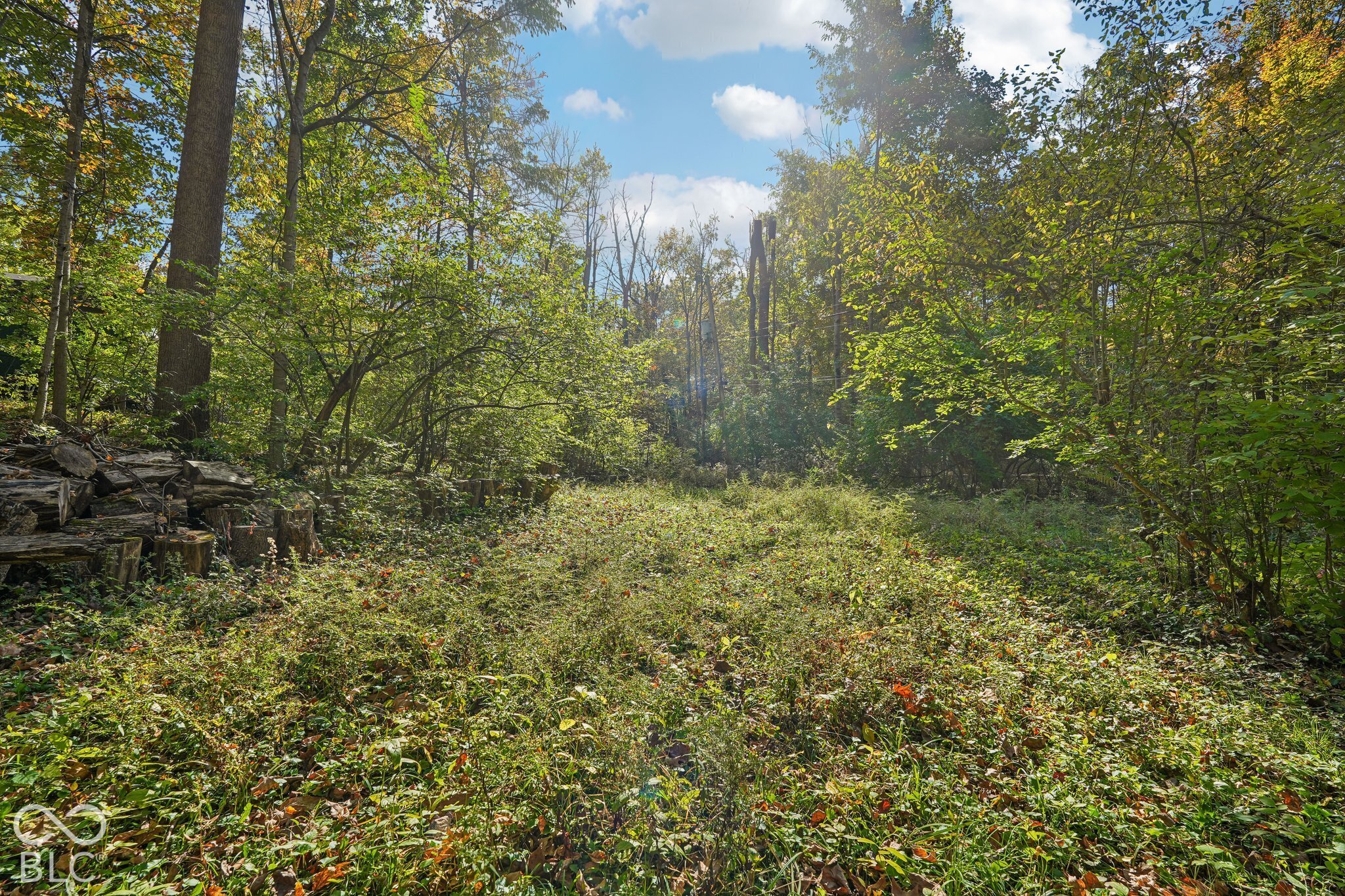 6220 Bramshaw Road