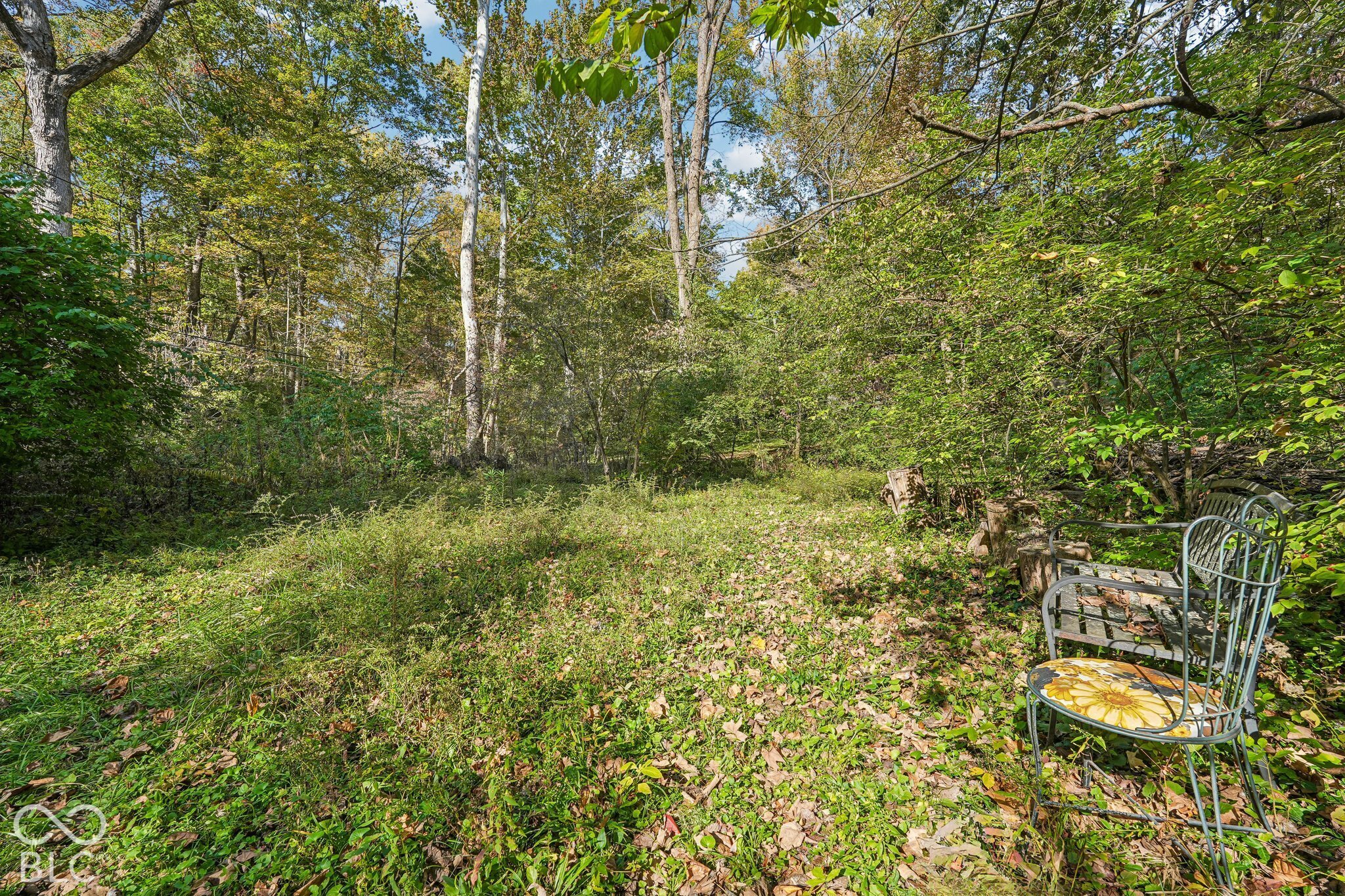 6220 Bramshaw Road