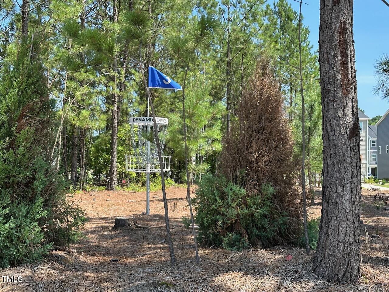 328 Carolina Springs Boulevard