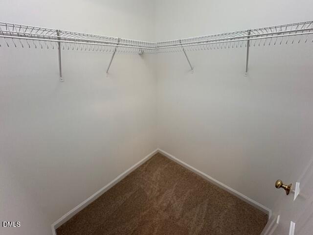 1007 Double Spring Court